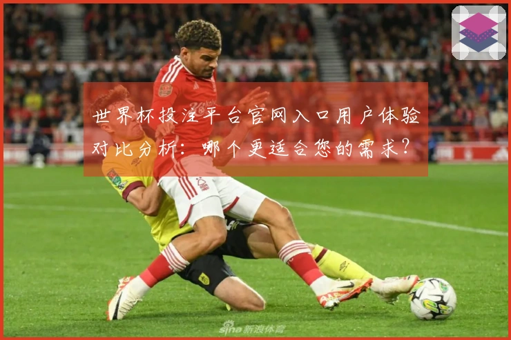 世界杯投注平台官网入口用户体验对比分析：哪个更适合您的需求？