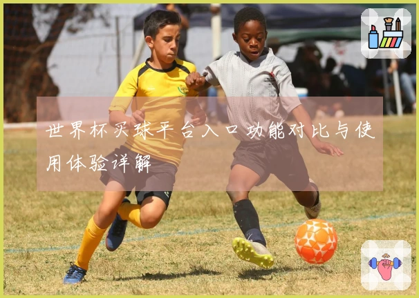 世界杯买球平台入口功能对比与使用体验详解