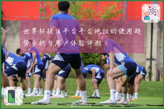 世界杯投注平台平台地址的使用趋势分析与用户体验评测