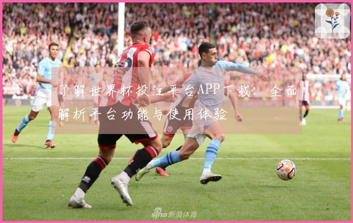 了解世界杯投注平台APP下载：全面解析平台功能与使用体验