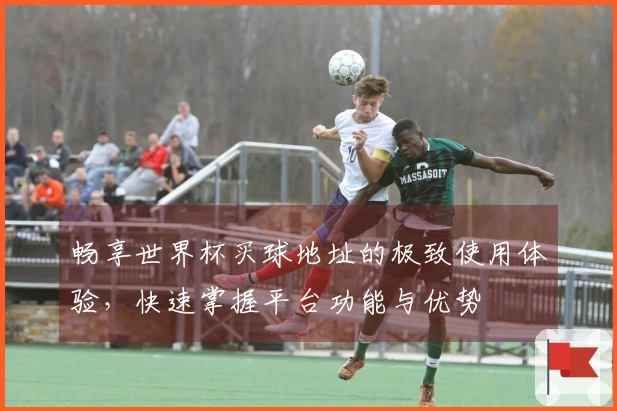 畅享世界杯买球地址的极致使用体验，快速掌握平台功能与优势
