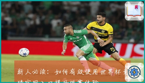 新人必读：如何有效使用世界杯竞猜官网入口提升观赛体验