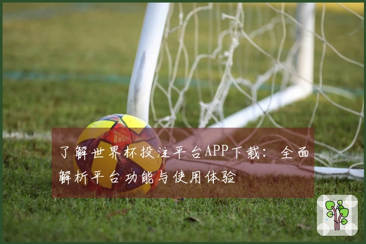 了解世界杯投注平台APP下载：全面解析平台功能与使用体验