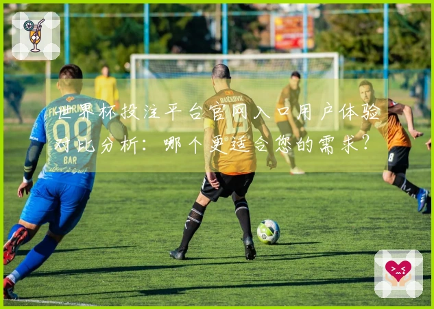世界杯投注平台官网入口用户体验对比分析：哪个更适合您的需求？
